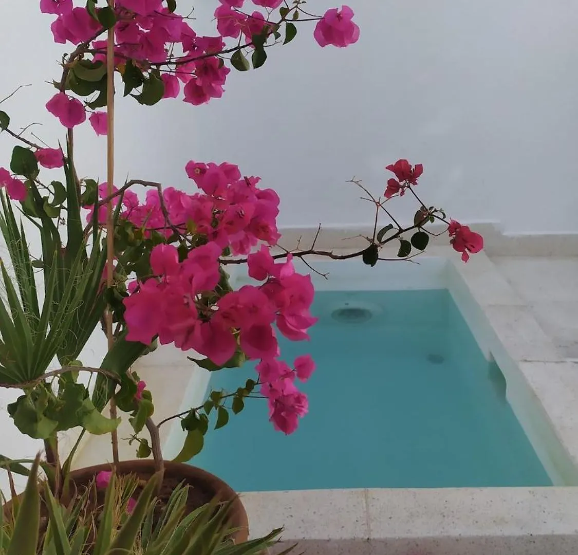 Villa Riad Rooftop, Pool And Stunning View Marrakesh